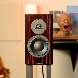 Dynaudio Special Forty (occasion)